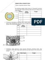 Lembar Kerja Peserta Didik Sistem Organisasi