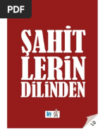 Şahitlerin Dilinden  - Risale-i Nur Kahramanlarının Hatıraları - Ebook Reader için Pdf 800x600