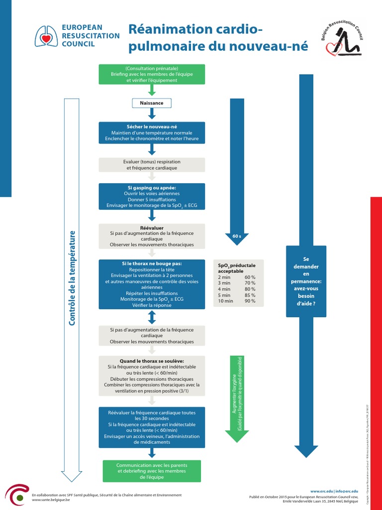 Poster Babies NLS Algorithm FRA FOD HRES | PDF | Réanimation cardio ...