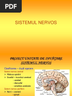 1.sistemul_nervos