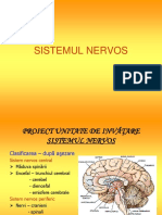 1.sistemul_nervos