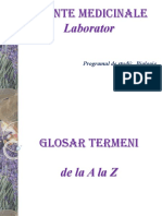 PLANTE MEDICINALE - Glosar Termeni