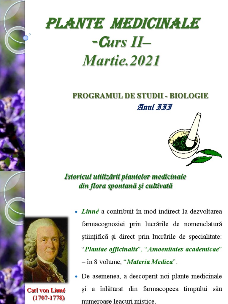 Plante Medicinale Curs 2 | PDF