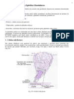 Histofisiologia Dos Sistemas Glandulares