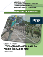 Caderno Legislaã - Ã - o Organizacional - CFSD - 2022