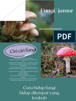 Struktur Fungi Jamur
