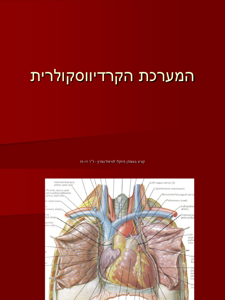 חומר לימודי מערכת הלב ומערכת כלי הדם | PDF
