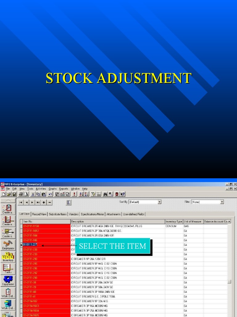 Stock Adjustment PDF