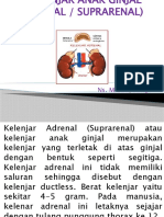 Kelenjar Adrenal Fungsi dan Bagian