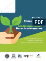 Opinion Consultiva 23 sobre medio ambiente y_espanol