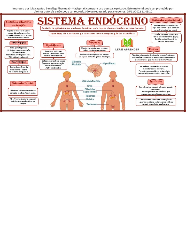 Mapa Mental Sistema Endocrino | PDF | Glândula pituitária | Hormônio