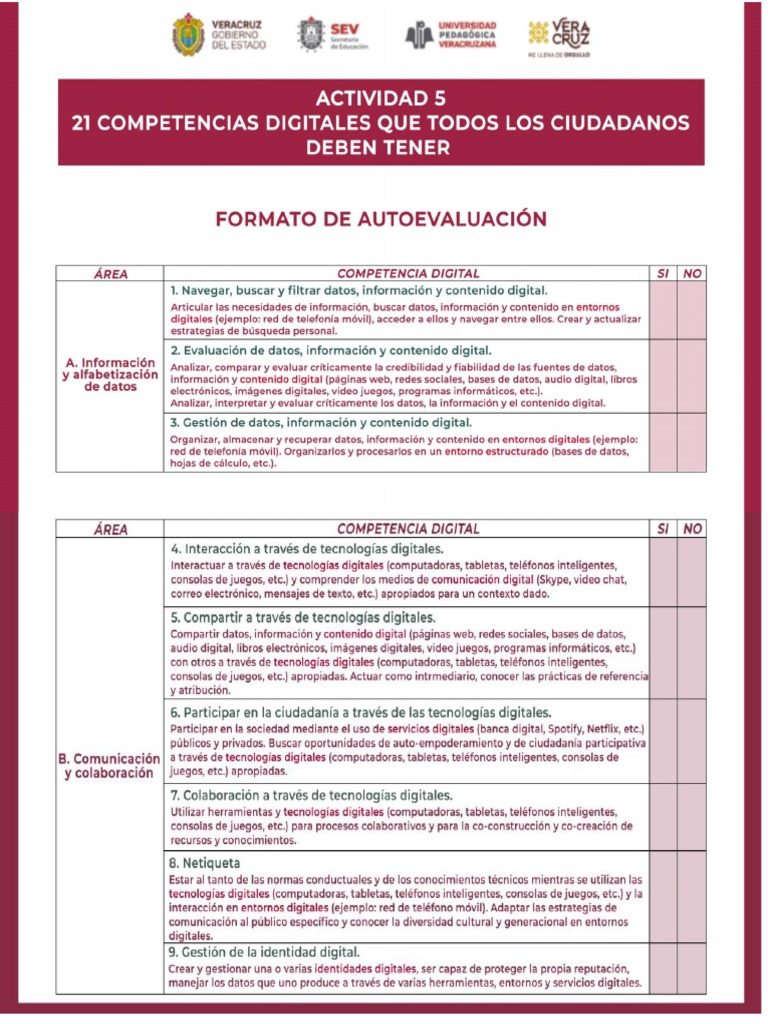 2 Formato 21 Competencias Digitales Que Los Ciudadanos Deben Tener | PDF