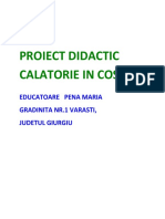 Proiect 1