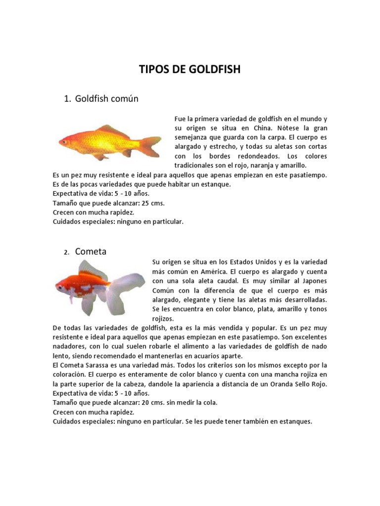 Atlas de Goldfish - Docx Versión 1 | PDF