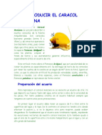 Reproducir El Caracol Manzana PDF