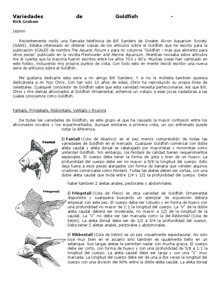 Variedades de Goldfish | PDF | Pescado | Animales acuáticos