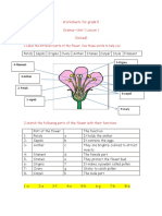 Worksheets For Grade 5 Science 2022 Answers