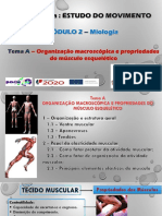 Propriedades e estrutura dos músculos