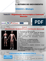 Organização e contração muscular