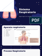 Anatomia de Pulmon