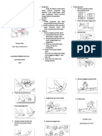 PDF Leaflet Rom Pasif DL