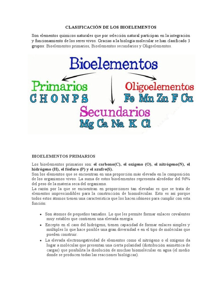 Clasificación de Los Bioelementos-Quimica | PDF | Elementos químicos ...