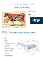 Anatomia (2022-2023) Aula T07 - 29112022 Digestivo