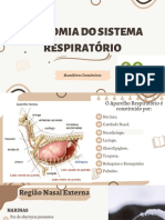 Pratica 9 - Sistema Respiratorio