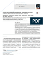 Role of capillary pericytes and precapillary arterioles in the vascularmechanism of betahistine in a guinea pig inner ear model