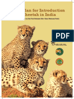 Action Plan Cheetah Introduction Jan 2022
