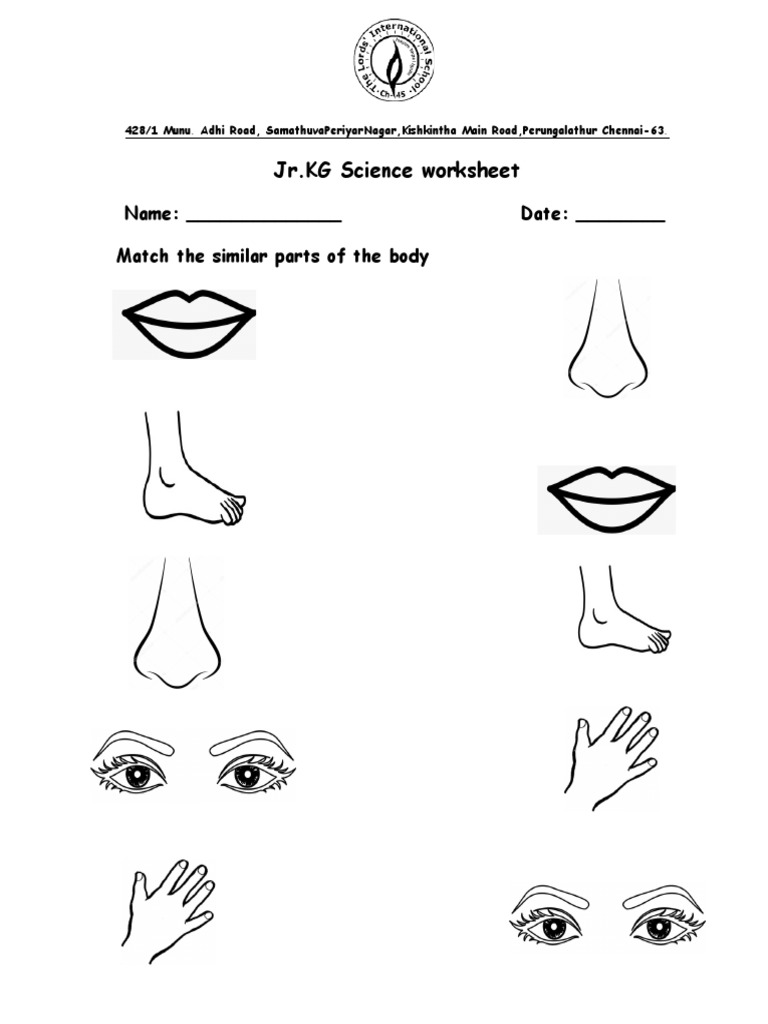 Parts of The Body PDF