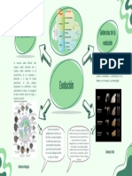 Mapa Conceptual - Evidencias de Evolución