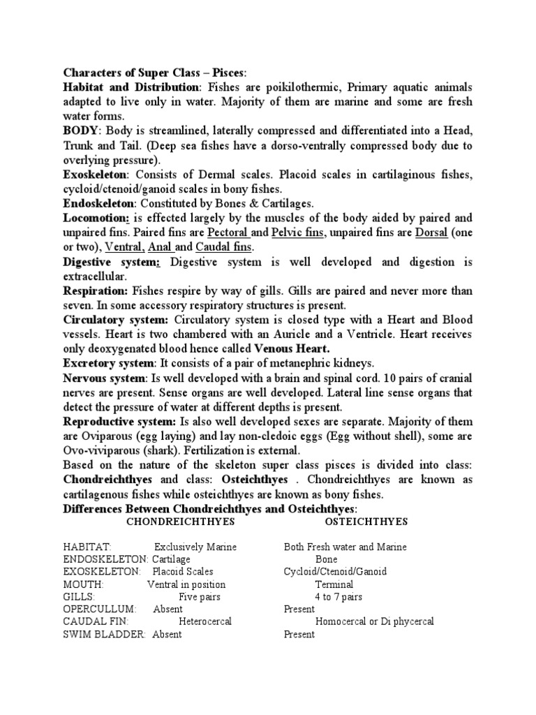 Characteristics of Class Pisces | PDF | Fish | Anatomy