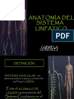 Anatomadelsistemalinftico 120619065920 Phpapp02