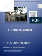 Histology Slides