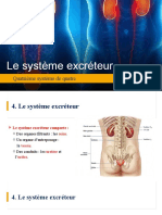 Systeme Excreteur Etudiants