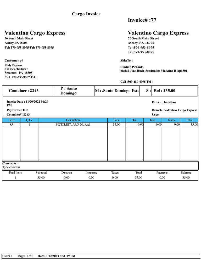 Large Invoice | PDF