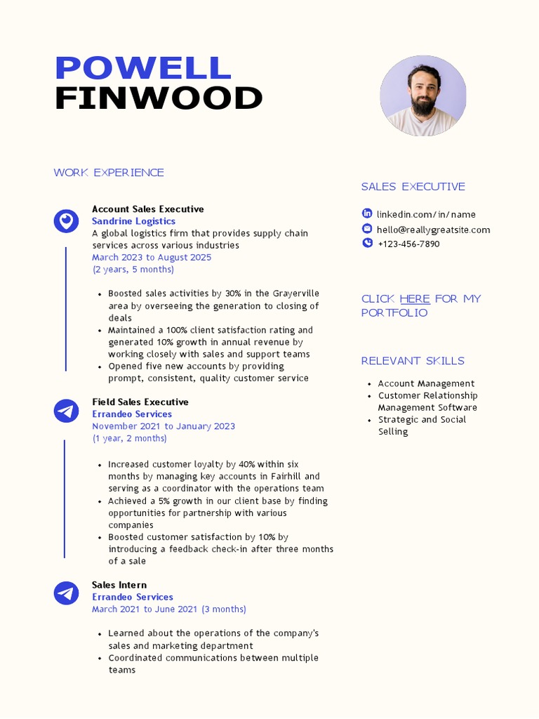 CV Template | PDF | Sales | Marketing