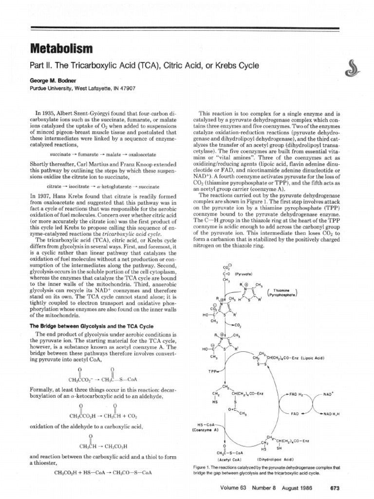 Krebs Cycle | PDF | Diet &amp; Nutrition | Chemistry
