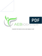 Business Plan AEB