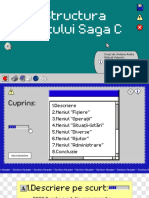 Structura Softului Saga C