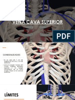 Vena Cava Superior