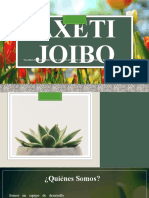 Proyecto-Axeti Joibo
