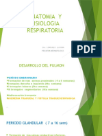 ANATOMIA Y FISIOLOGIA RESPIRATORIA Actual