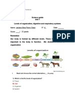 5th A Science Guide 4th Week JAVIERA SILVA