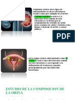 Sistema Uninario