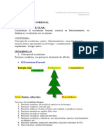 El Ecosistema Forestal