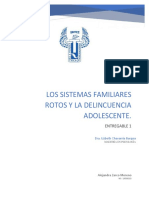 Los Sistemas Familiares Rotos y La Delincuencia Adolescente