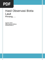 Download Hasil Observasi Biota Laut by IkhlasulAmalAbDal SN62060400 doc pdf