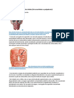 Músculos da órbita e expressões faciais